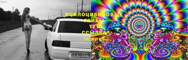 винт Елабуга