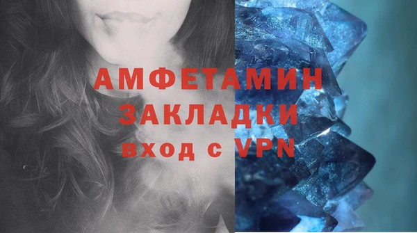 шишки Заволжск